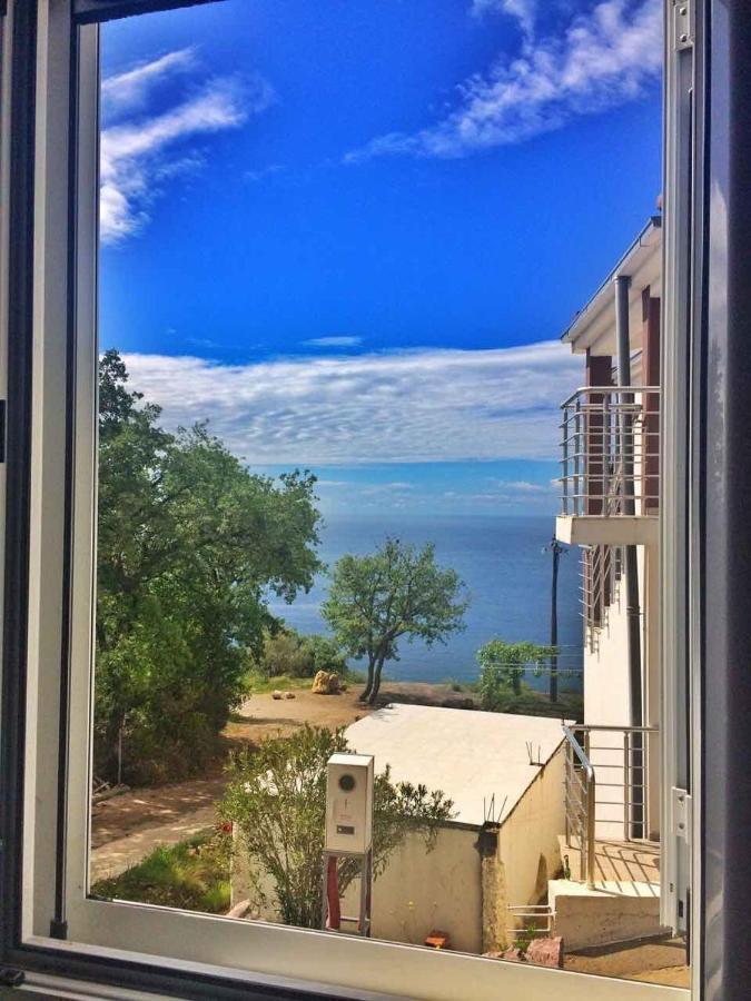 Sea View House Zagradje Leilighet Bar Eksteriør bilde